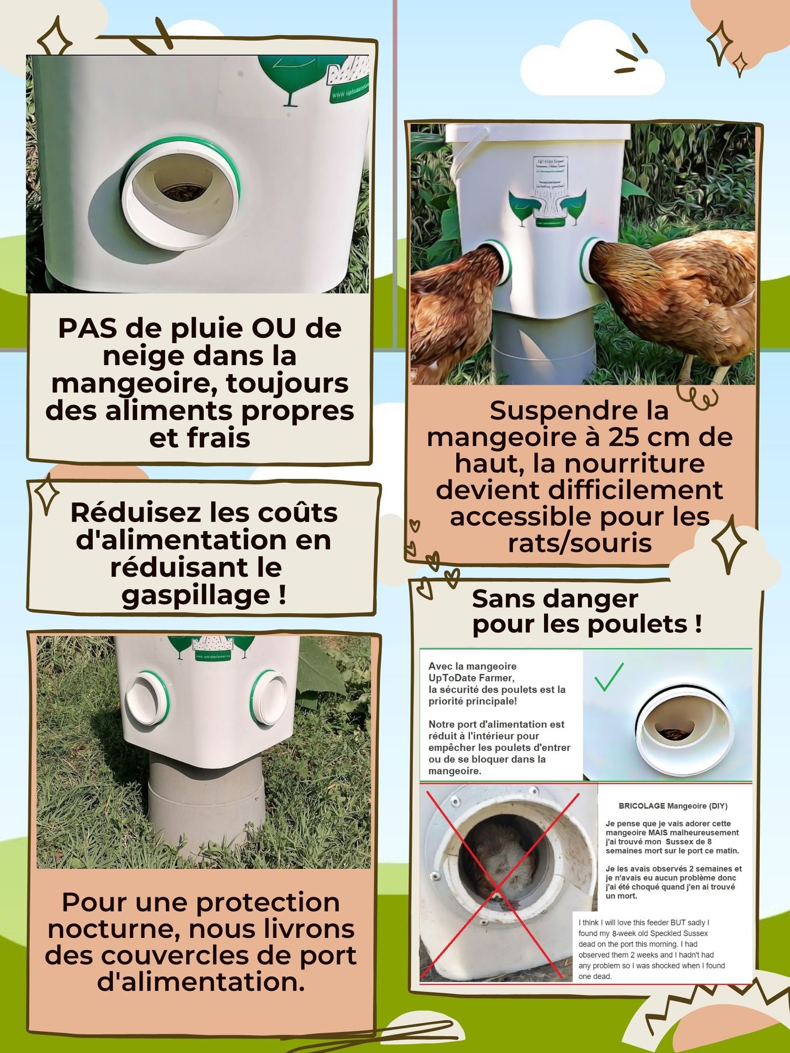 Mangiatoia Automatica per Polli Antispreco per Tutte le Età (3 porte) 20L/14kg - Image 7