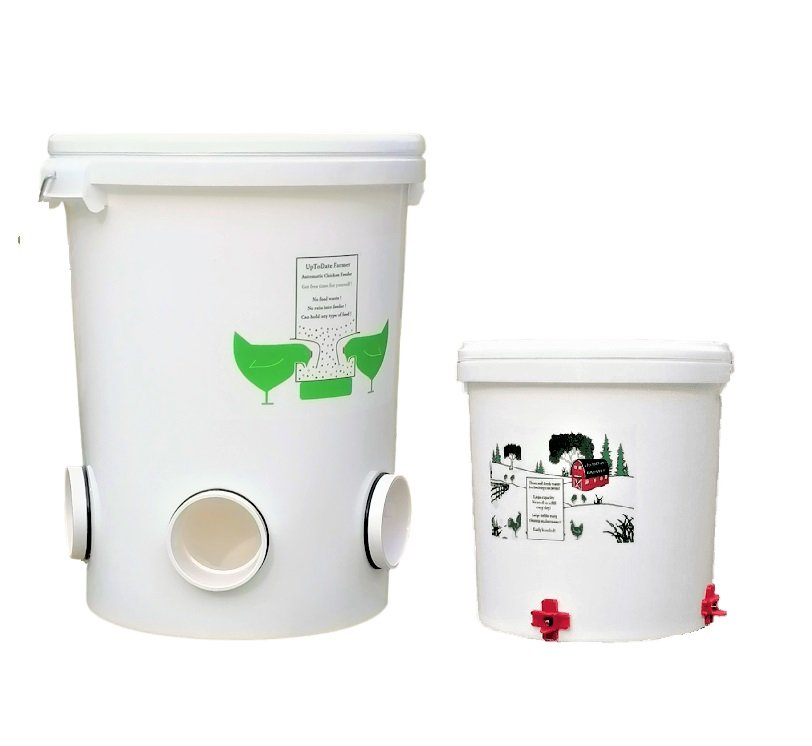 mangiatoia per pollo antitopo