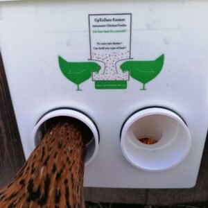 Mangiatoie per Galline