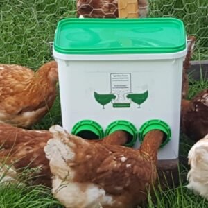 Mangiatoie per Pulcini